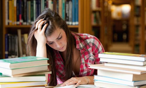 course-4 Introduction LearnPress – LMS plugin