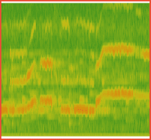Soundwaves showing portamento.